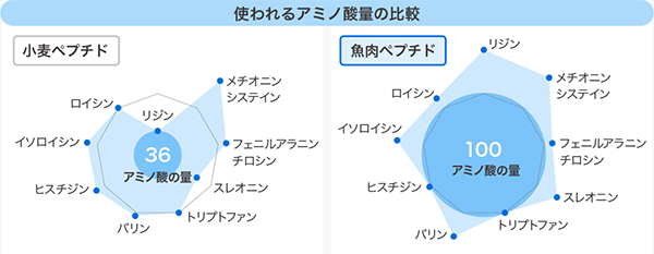 優れたアミノ酸バランス　アミノ酸20種をバランス良く含有